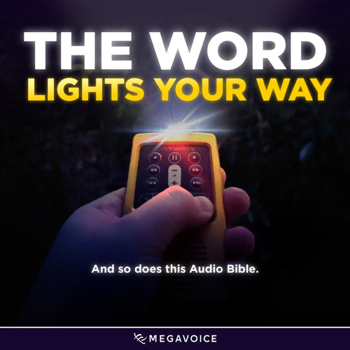 Solar Audio Bible Gold Edition (Envoy Elite) Choose from Common Versions