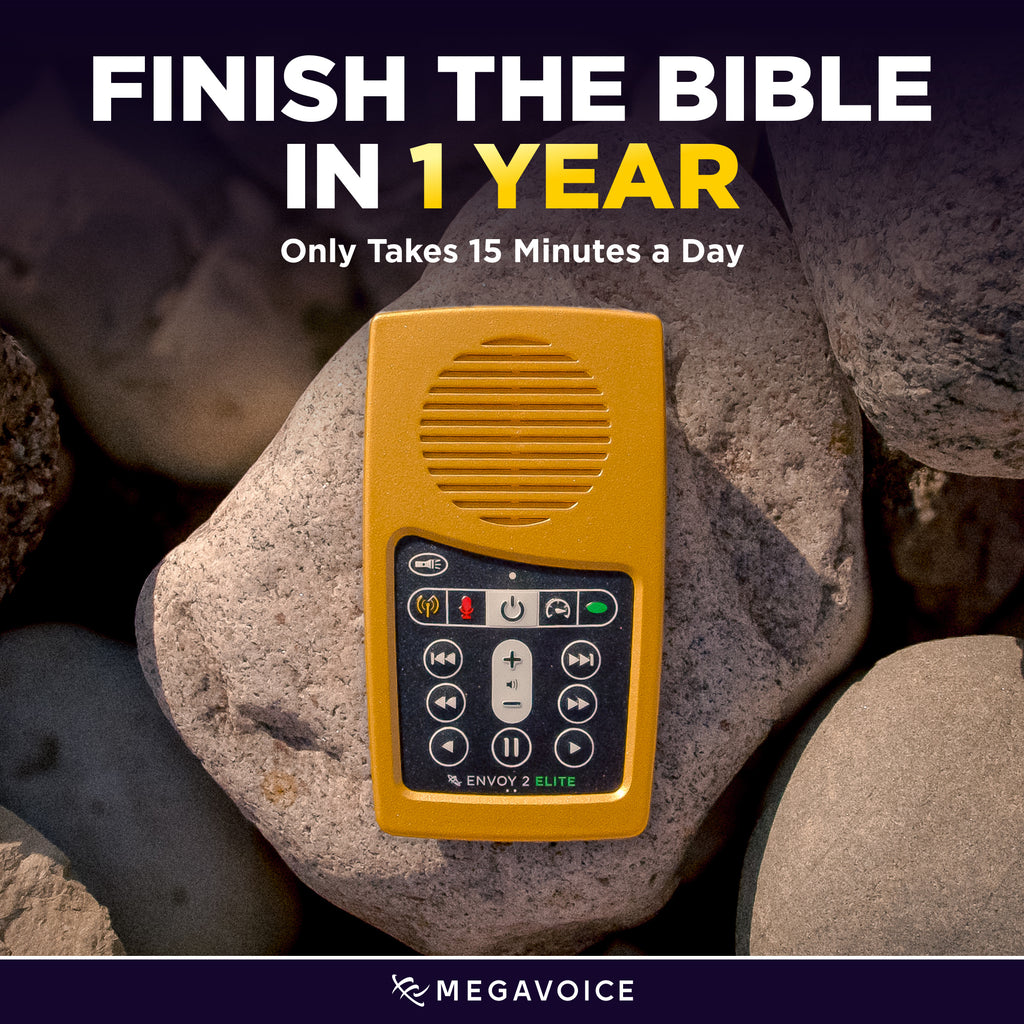 Solar Audio Bible Gold Edition (Envoy Elite) Choose from Common Versions