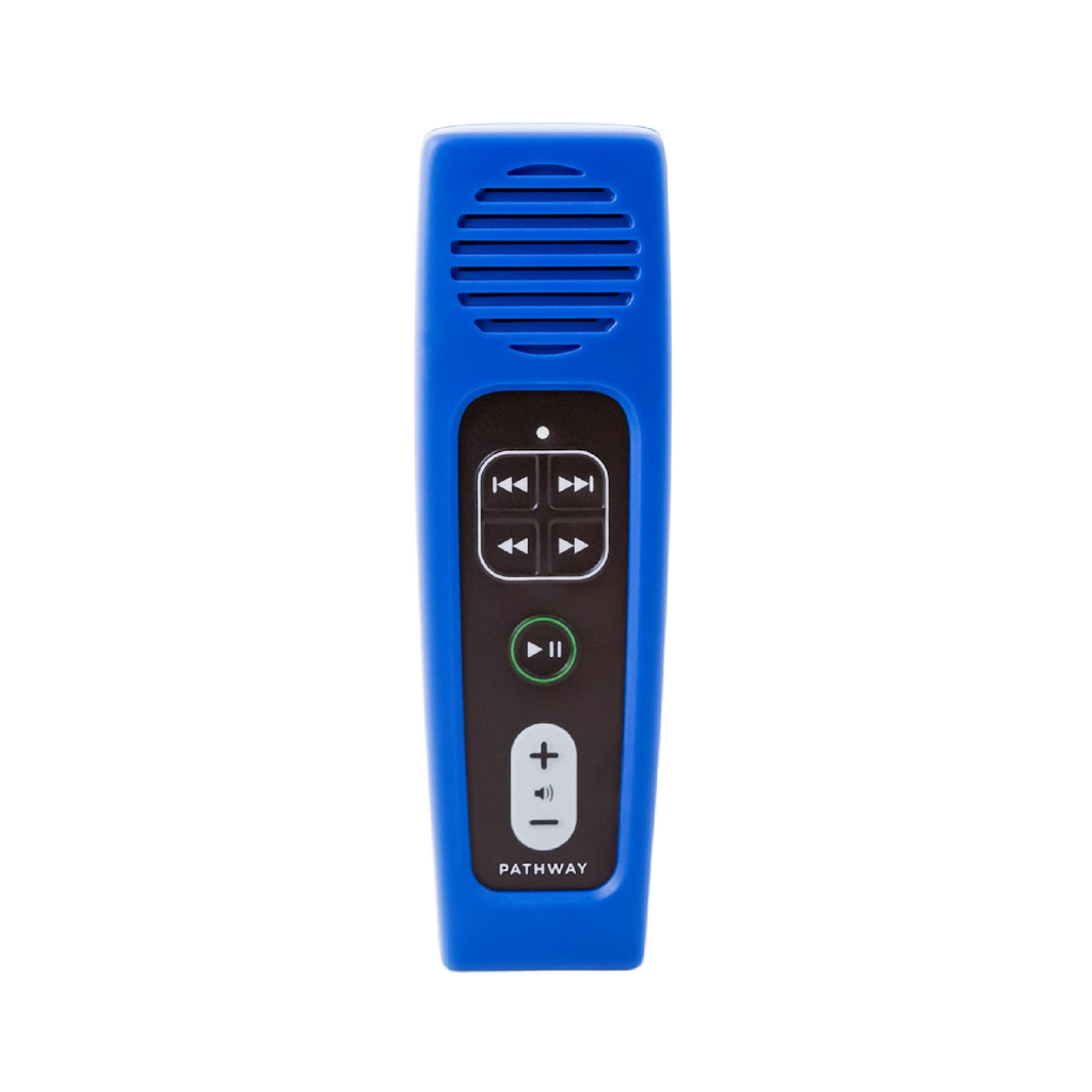 Rechargeable Audio Bible (Pathway) Choose from Common Versions