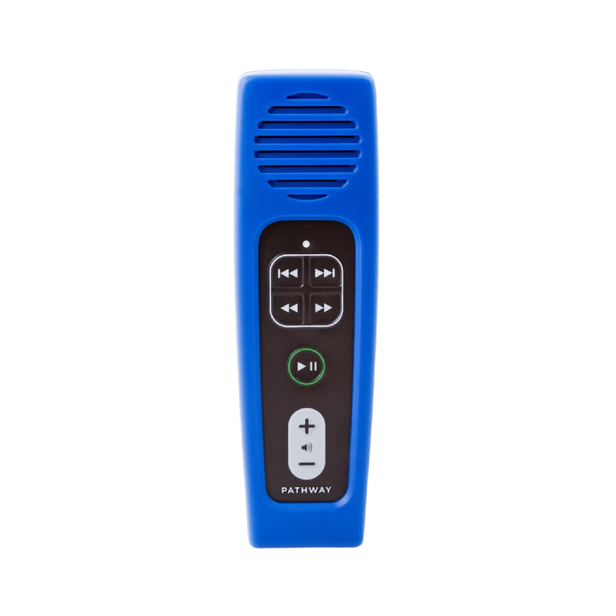 Rechargeable Audio Bible (Pathway) Choose from Common Versions