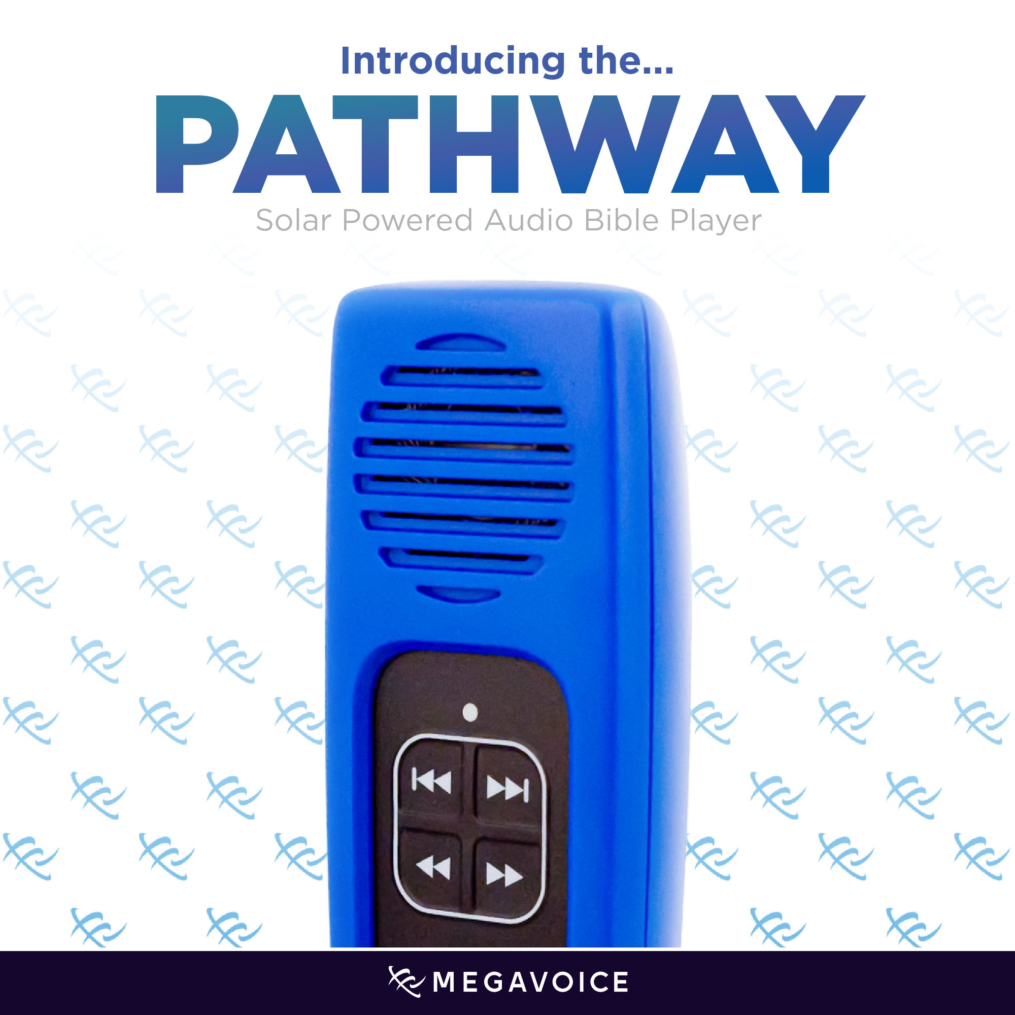 Rechargeable Audio Bible (Pathway) Choose from Common Versions