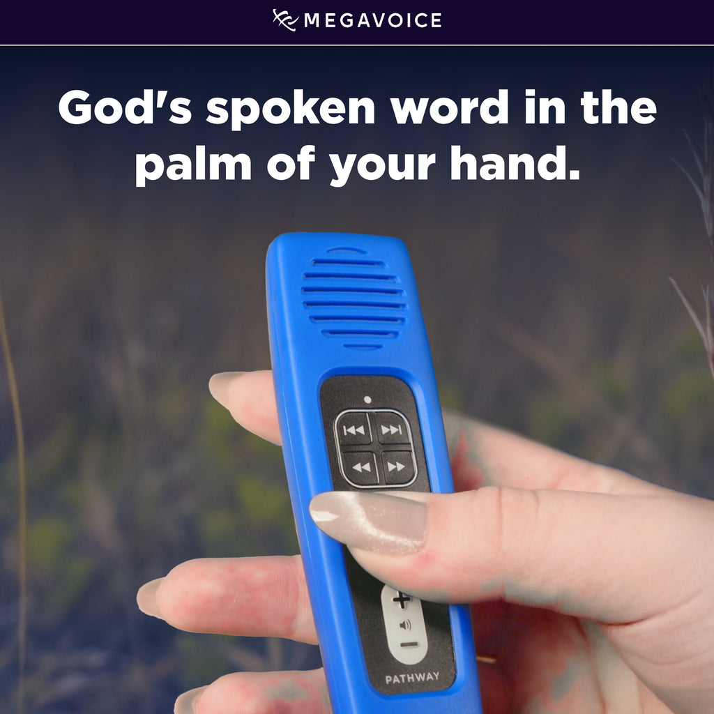 Rechargeable Audio Bible (Pathway) Choose from Common Versions