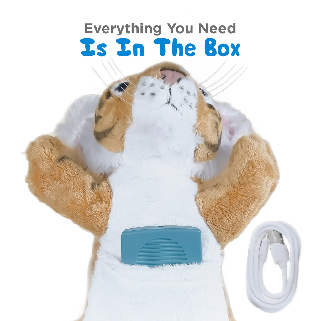Tiger Wildlife Storyteller with Soothing Sounds Collection